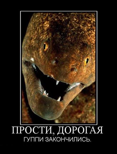 ,   . 