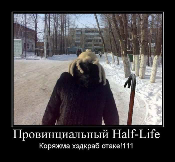 Half-Life.   ! 