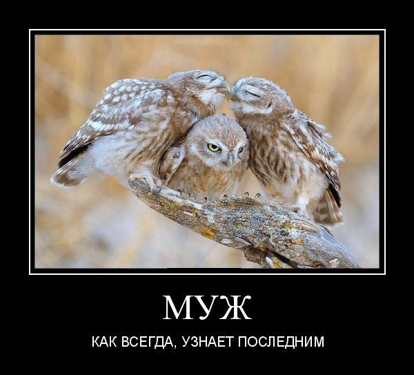   ,   