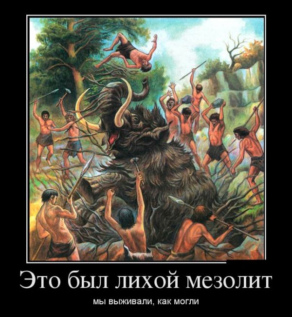    ,  ,   