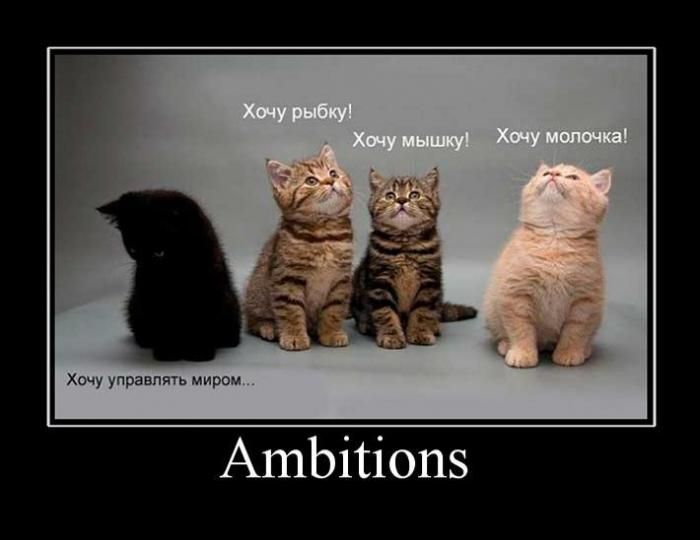 Ambitions