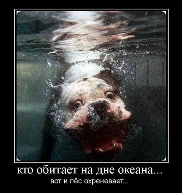     ...    ... 
