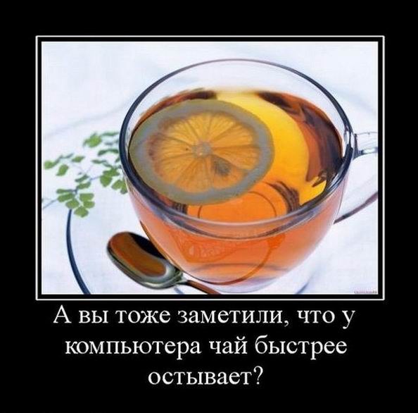    ,      ? 