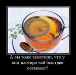    ,      ? 