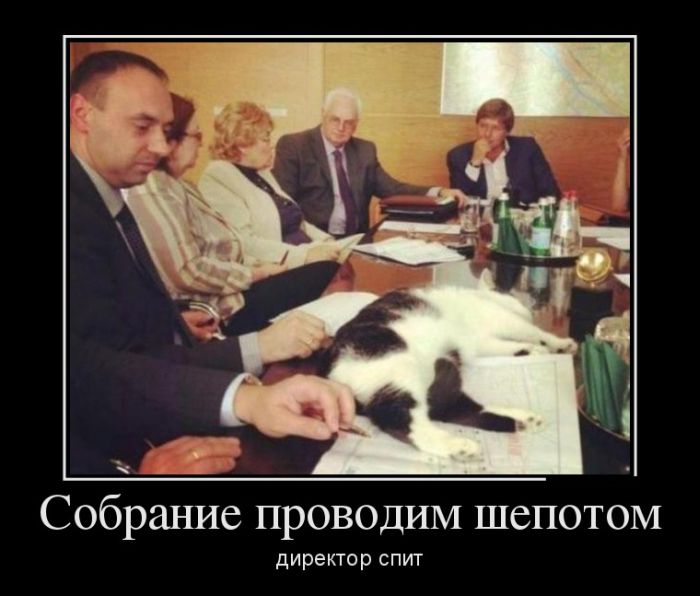 Собрание проводим шепотом, директор спит 