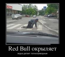 Red Bull ,    