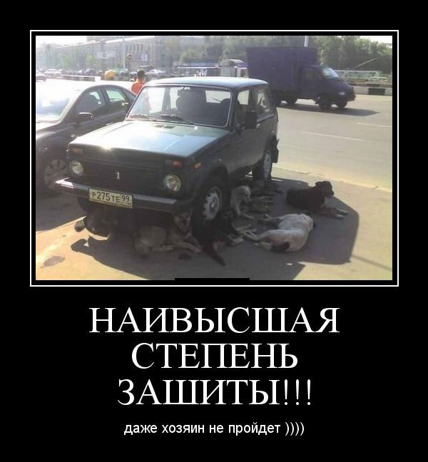  !!!    )))) 
