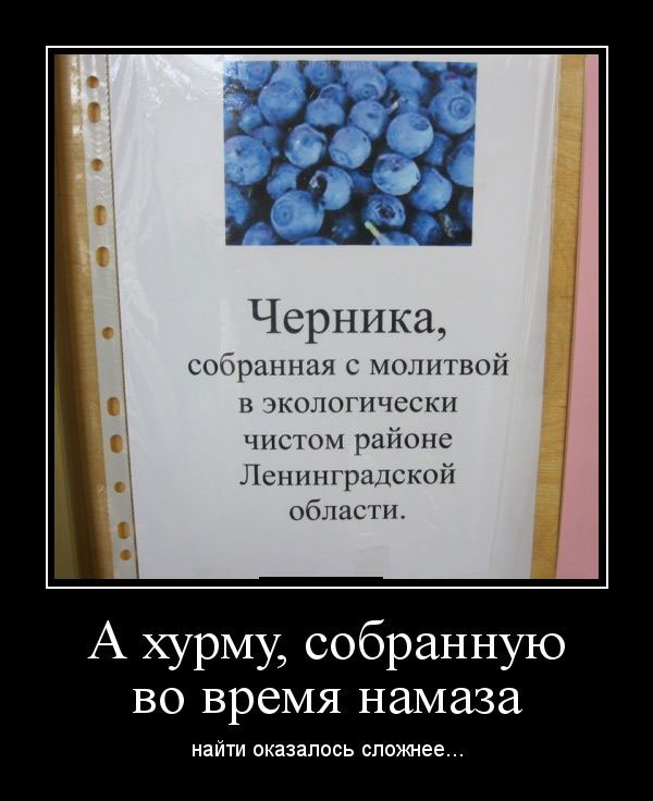  ,       ... 