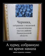  ,       ... 