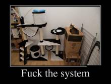 Fuck the system 