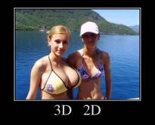 3D 2D 
