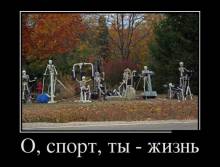 О, спорт, ты — жизнь 