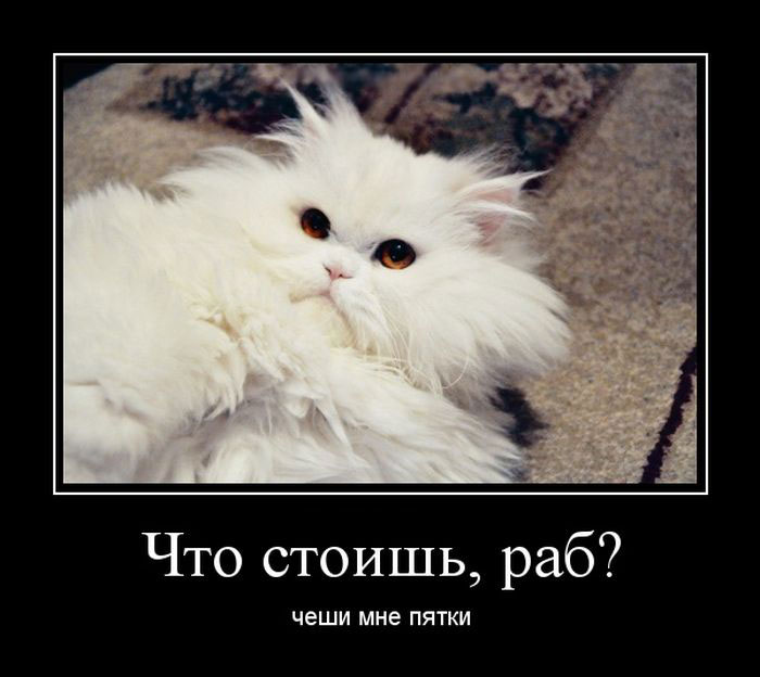  , ?   