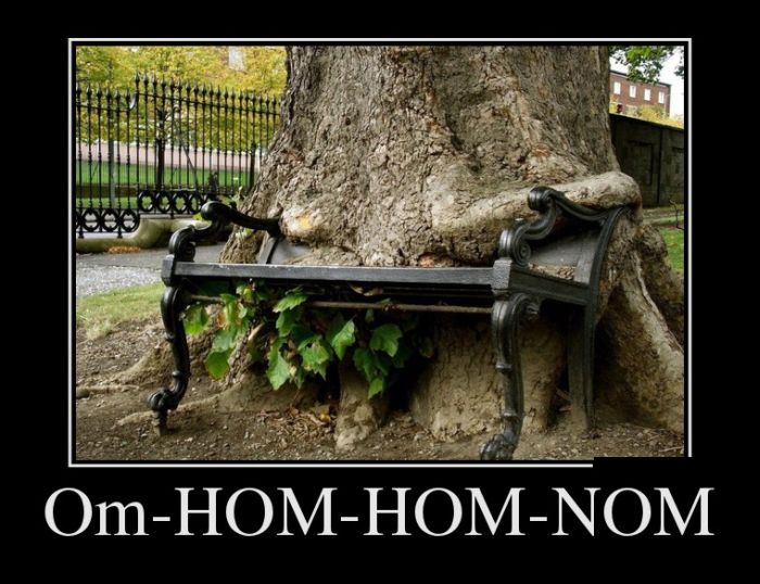Om  hom-hom-nom 