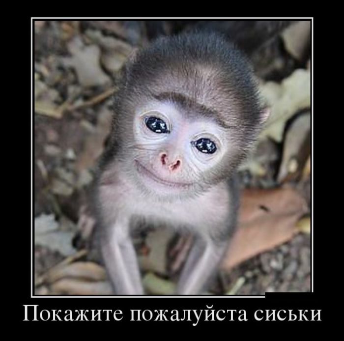 , , 