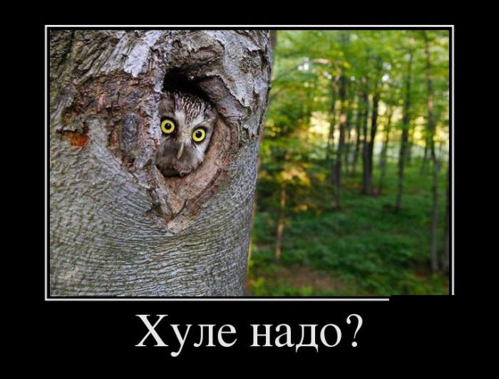 Хуле надо? 