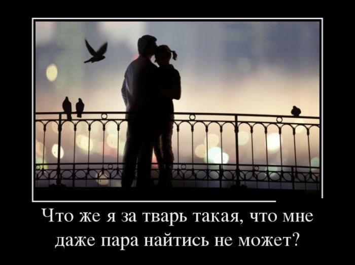      ,       ? 