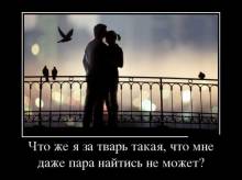      ,       ? 
