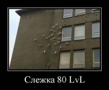  80 lvl