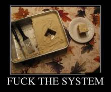 Fuck the system 