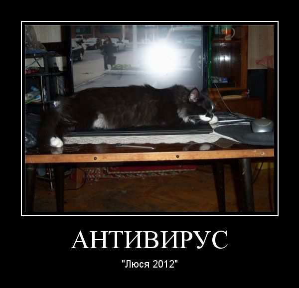   2012 