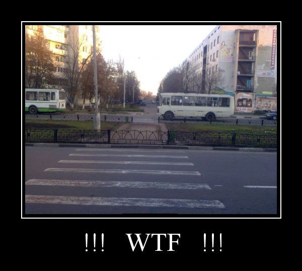 !!! WTF !!! 