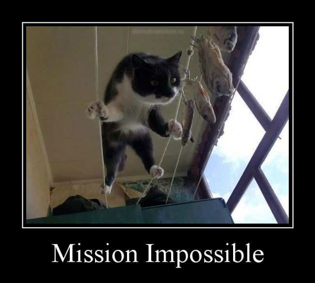 Mission Impossible 