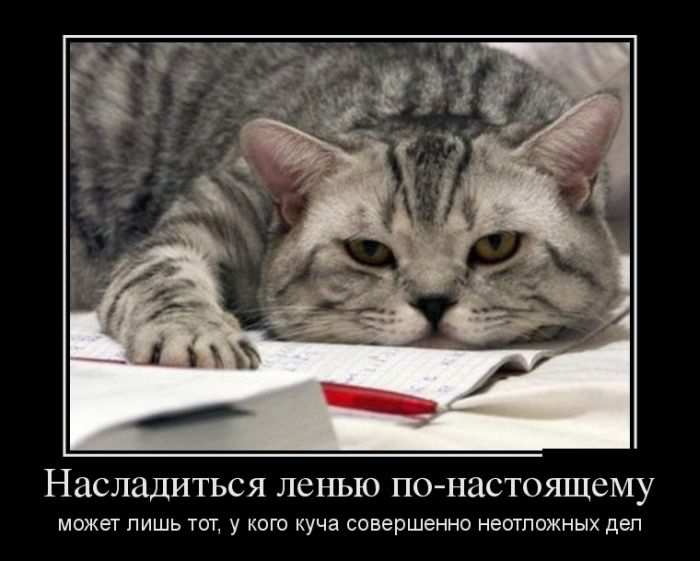 Насладиться леныо по-настоящему может лишь тот, у кого куча совершенно неотложных дел