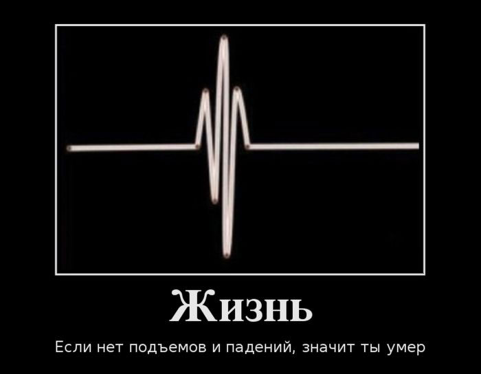 Жизнь. Если нет подъемов и падений, значит ты умер 