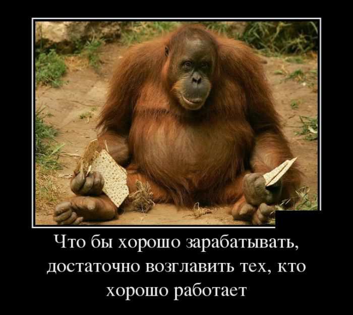    ,   ,    
