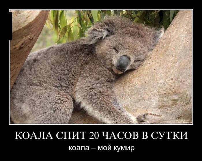   20   .     