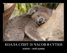   20   .     