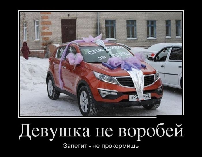 Девушка не воробей. Залетит — не прокормишь 