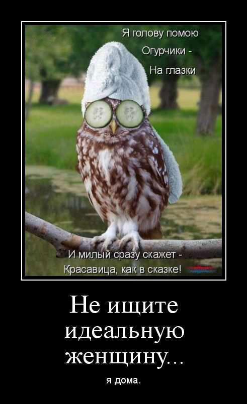    ..  . 