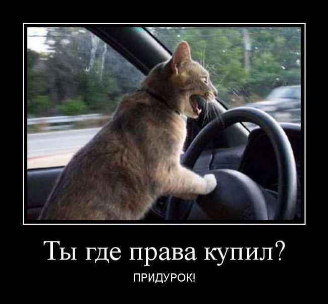    ? ! 
