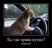    ? ! 