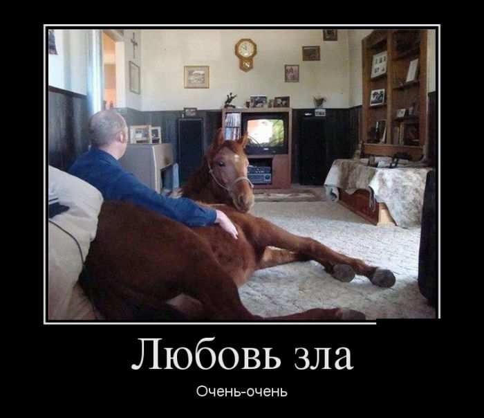  / - 