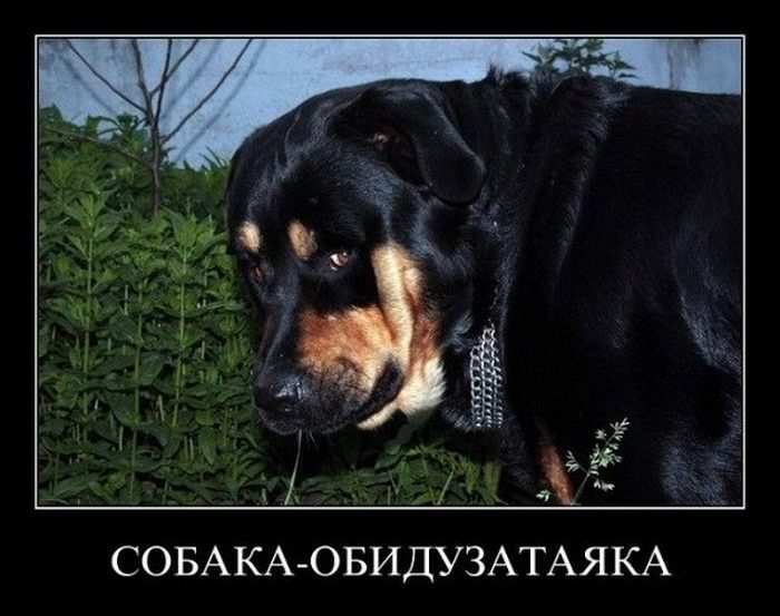 - 