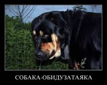 - 