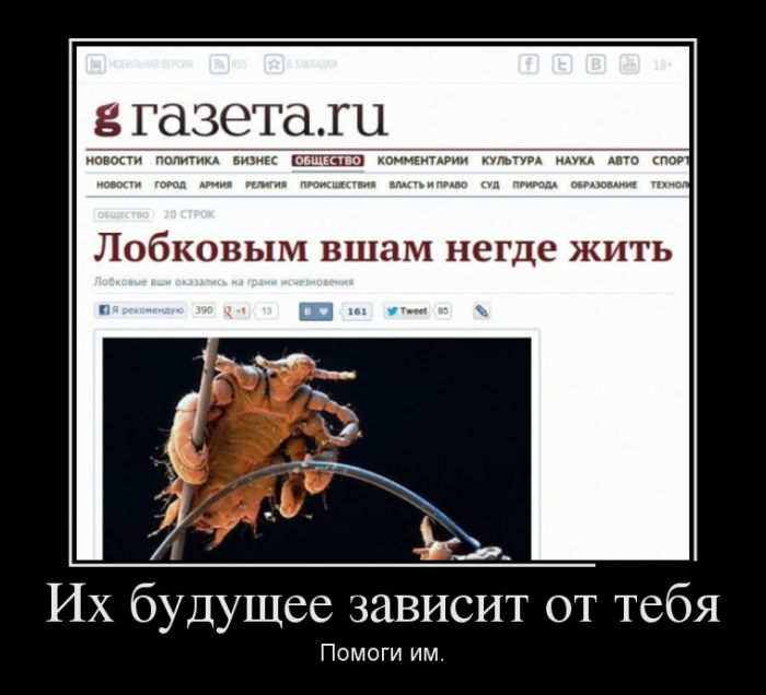     .  . 