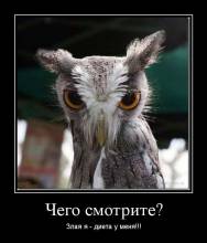  ?      !!! 