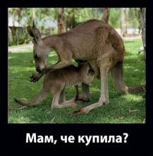 ,  ? 