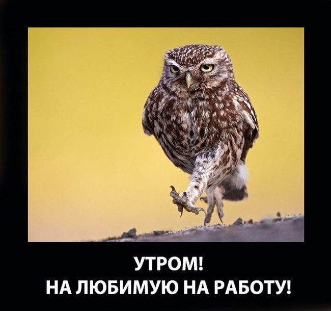 !  ,  ! 