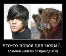 -   ?..    ! =) 