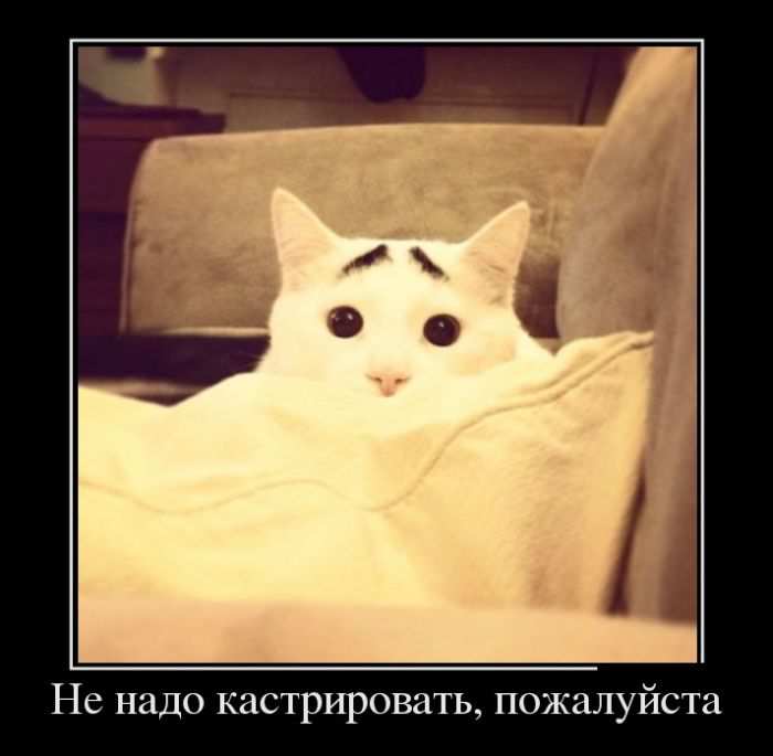   , 