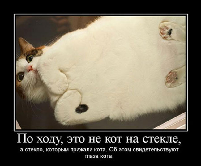  ,     ,  ,   .     . 