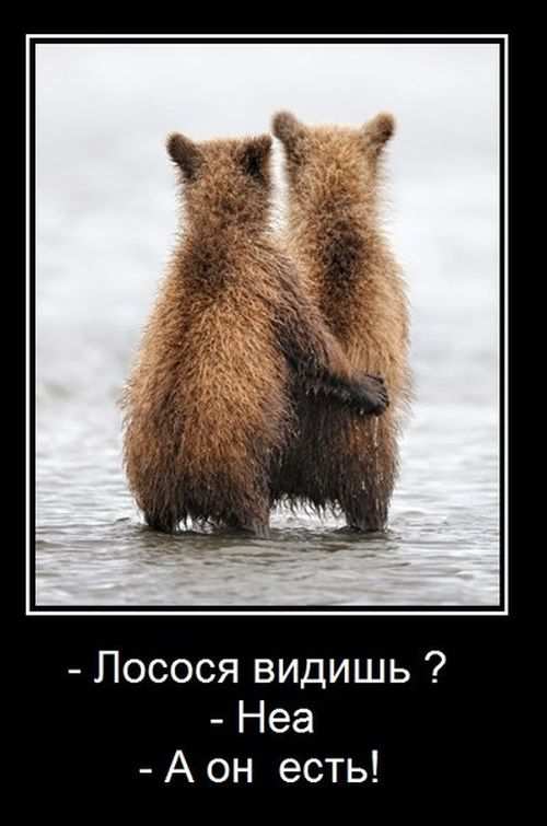  ? - . -   ! 
