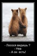  ? - . -   ! 