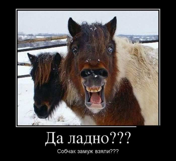  ???   ??? 
