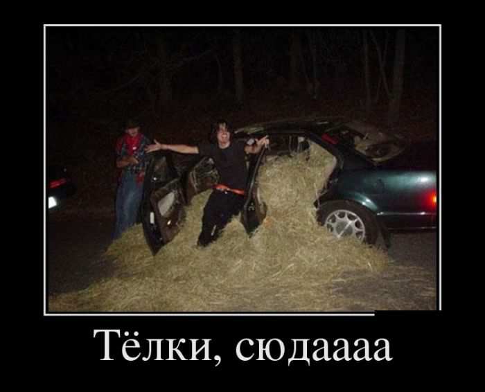 Ҹ,  